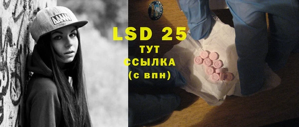 крисы Новодвинск