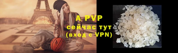 крисы Новодвинск