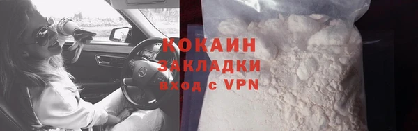 крисы Новодвинск