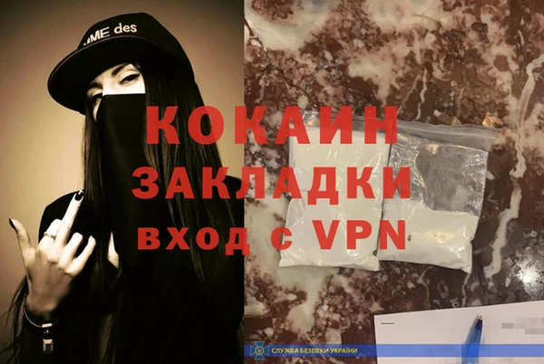 крисы Новодвинск