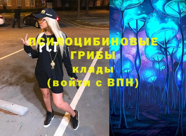 синтетический гашиш Алексин