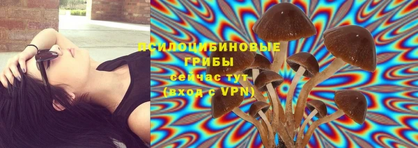 mix Новозыбков