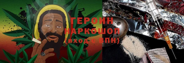 крисы Новодвинск