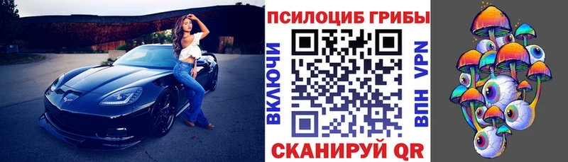 где найти   Осинники  Псилоцибиновые грибы MAGIC MUSHROOMS 
