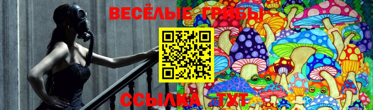 продажа наркотиков  Вход с VPN  Осинники  Галлюциногенные грибы ЛСД 
